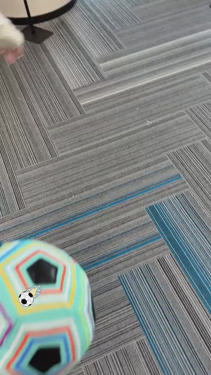 Sticky Soccer Target Mat Game – Indoor & Outdoor Kids Toy